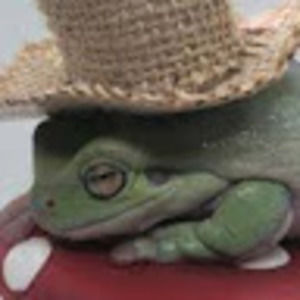 Meet your Posher, Hazel